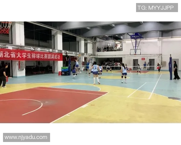 武汉排球队区域防守分析与提升策略探讨 武汉排球队区域防守分析与提升策略探讨