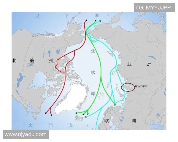 亚马尔地区的能源战略与全球气候变化的互动关系探讨