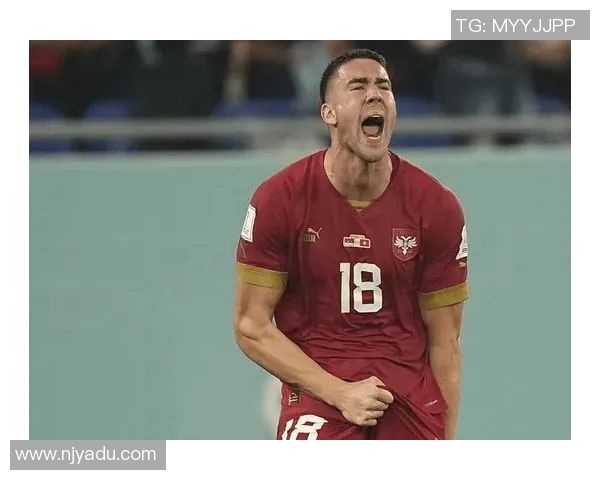 奥地利与塞尔维亚激战结果揭晓球迷热议精彩瞬间与表现分析