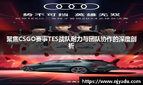 zoty中欧
