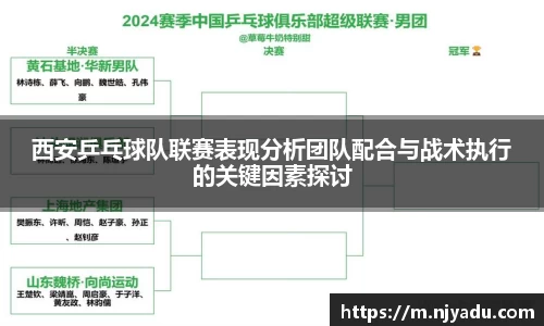 zoty中欧