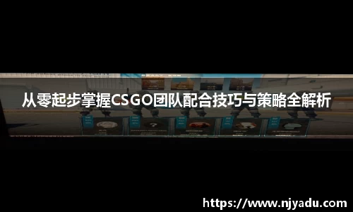 zoty中欧