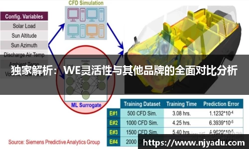 独家解析：WE灵活性与其他品牌的全面对比分析