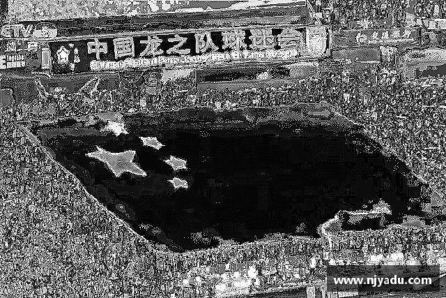 解读zoty中欧